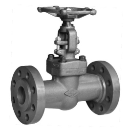 API 602 Globe Valve