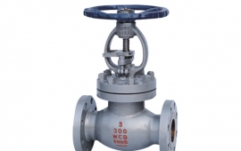 Bellow Globe Valve