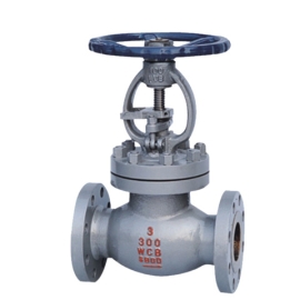 Bellow Globe Valve