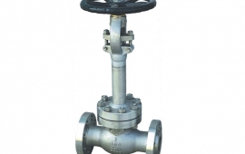 Cryogenic Globe Valve