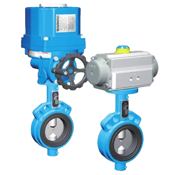 Butterfly Valve