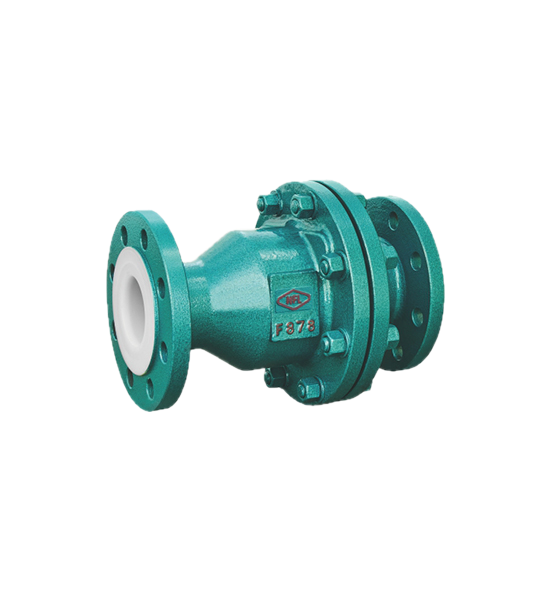 Check Valve